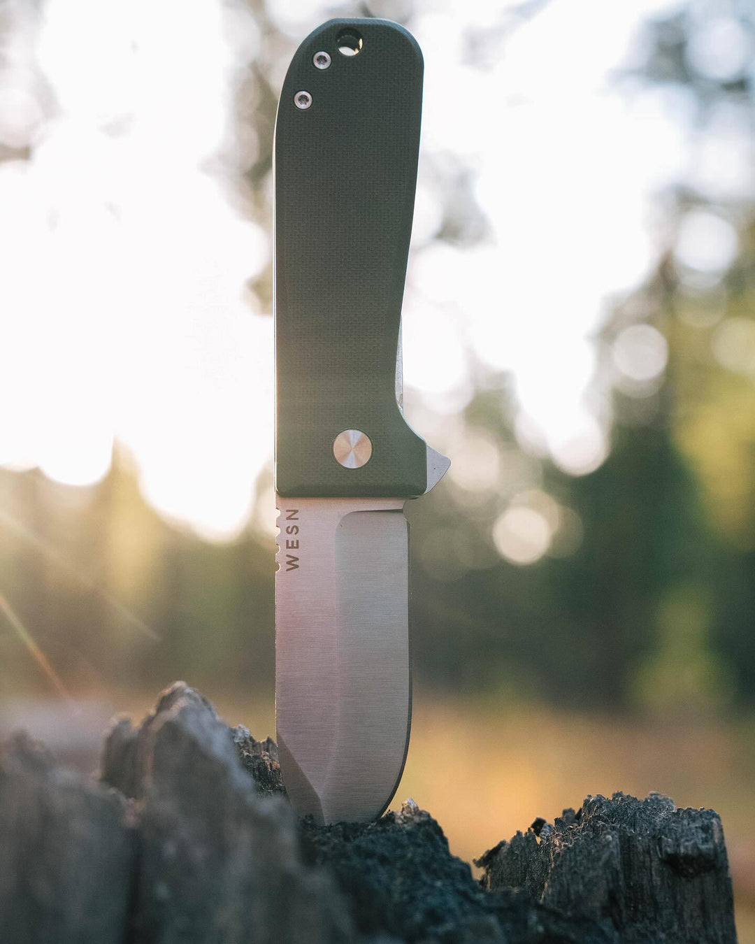 WESN: The Allman